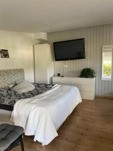 诺尔雪平Lägenhet Skarphagen Norrköping的卧室配有一张床和壁挂式平面电视。