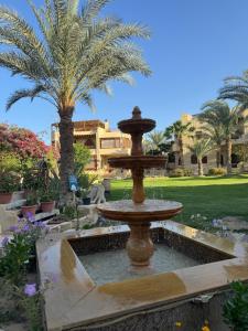 Tunispalm shadow resort的棕榈树花园中间的喷泉