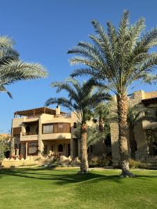 Tunispalm shadow resort的两棵棕榈树在房子前面
