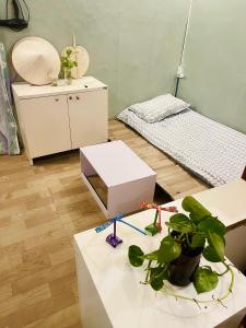 河内Mika Homestay Simple & Cozy的一间设有两张床和一张植物桌子的房间