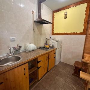 亚列姆切Kipreya的一间带水槽和炉灶的小厨房
