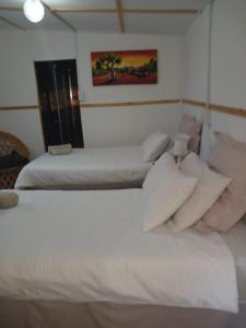 KamieskroonMegs Accommodation的配有2张床的带白色床单和枕头的客房