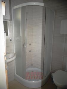 索科矿泉村Vila Jenic的带淋浴的浴室(带盥洗盆和卫生间)