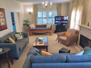 罗托鲁瓦Haven Homestay Rotorua的客厅配有蓝色的沙发和电视