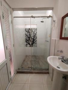 佩雷拉芬卡梦幻别墅的带淋浴和盥洗盆的浴室