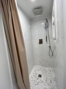 多伦多49 Hostel的带淋浴和浴帘的浴室