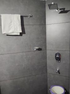 科泽科德BrickDeck的带淋浴和卫生间的浴室