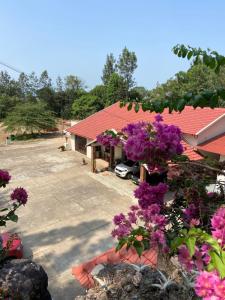 AvathiThe Sattva Nature Retreat的前面有紫色花的房屋