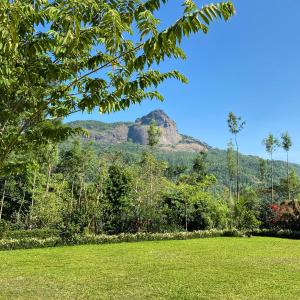 AvathiThe Sattva Nature Retreat的从公园欣赏山景