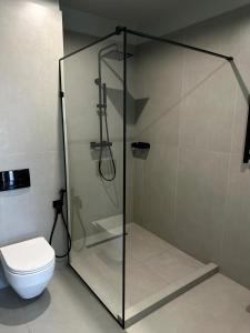 布克维SAVOIE Apartments Bukovel的带卫生间的浴室内的玻璃淋浴间