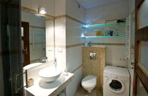 扎科帕内Apartament Cicha Woda Zakopane的一间带水槽和洗衣机的浴室