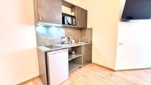 塔尔图Kastanimaja Apartments的一间带水槽和冰箱的小厨房