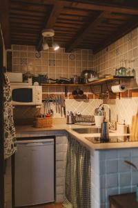 米耶雷斯La Faya - La Vallicuerra Casas Rurales的厨房配有水槽和微波炉