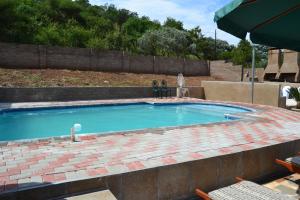 兰斯堡Kamogelo Guest House的一个带砖砌庭院和遮阳伞的游泳池