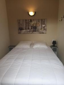 阿让塔Corrèze rive Dordogne的一张带两个枕头的大白色床