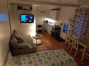 奥勒松Ålesund New Guesthouse的带沙发和平面电视的客厅