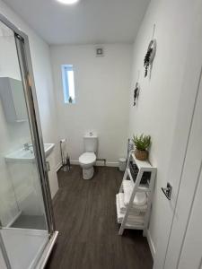 LincolnshireSkegness Town Centre Apartment 1的一间带卫生间和玻璃淋浴间的浴室