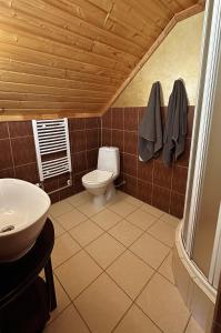 阿卢克斯内杭恩塞塔斯酒店的一间带卫生间和水槽的浴室