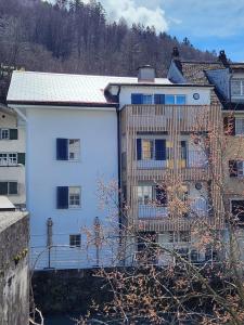 SchwändiSpacious cellar studio surrounded by mountains and lake的前面有栅栏的白色建筑