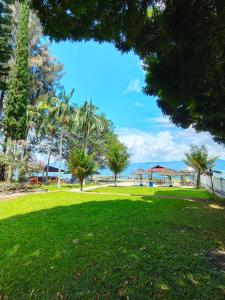图克图克潘杜湖滨图克图克酒店的棕榈树和海洋的公园