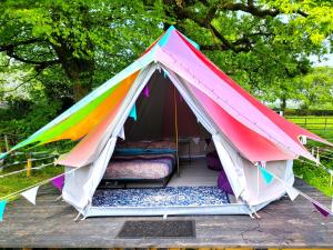 纳伯斯4 Unique Rental Tents Choose from a Bell, Cabin, or Yurt Tent All with Kitchenettes & Comfy beds NO BEDDING SUPPLIED的色彩缤纷的帐篷,配有一张床