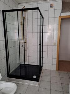 巴哈拉赫祖尔帕斯特酒店的浴室里设有玻璃门淋浴
