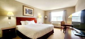 雷德迪尔Park Hill Inn & Suite的酒店客房配有一张床、一张书桌和一台电视。