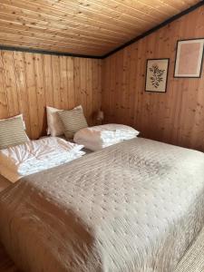 Hytte nær Ål的木墙客房的两张床