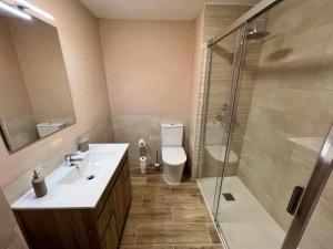 萨拉戈萨Apartamenticos Libertad I的浴室配有卫生间、盥洗盆和淋浴。