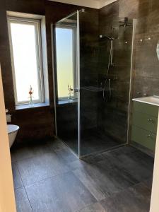 兰伯尔瑞德伯达尔露营酒店的带淋浴的浴室和玻璃门