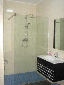 佛里茨道酒店餐厅的带淋浴、水槽和镜子的浴室