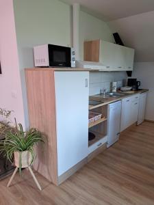 佐尔尼耶戈迪Apartmaji Magda的厨房配有白色冰箱和微波炉