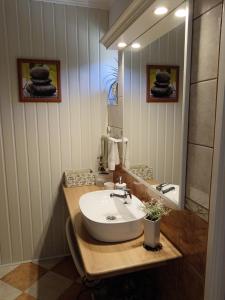 毛科Hársfa apartman的一间带水槽和镜子的浴室