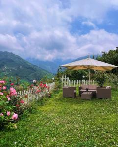 阿克恰阿巴德Trabzon saklı villa的花园配有遮阳伞、椅子和鲜花