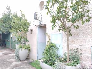 耶路撒冷Mina Boutique的一座带蓝色门和一些植物的房子