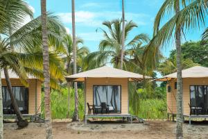 GuachacaTayrona Tented Lodge的棕榈树海滩小屋