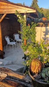 博纳索拉Cla&Cha Studio的庭院配有两把椅子、一张桌子和灌木丛