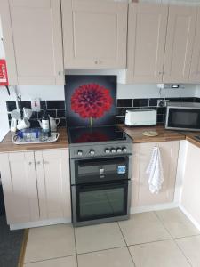 香农河畔卡里克Stunning 1-Bed Apartment in Carrick-On-Shannon的厨房配有带红色花卉的炉子。