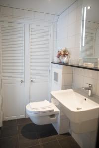 Olterterp赫特维特惠斯餐厅酒店 的白色的浴室设有卫生间和水槽。