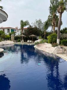 Anarita德米查纳酒店的一座拥有蓝色海水和棕榈树的游泳池