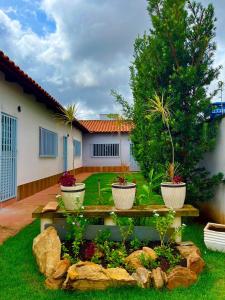 戈亚尼亚Casa da Vó Maria Suite Dupla 09的院子里有三株盆栽植物的花园