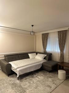 扎布利亚克Villa Zabljak的一间卧室配有一张床、一张沙发和窗户。