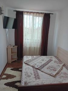 特尔古奥克纳Casa Jianu的一间卧室设有一张大床和窗户