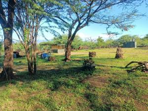 Ol KokwePopo Camp Lake Baringo的一片树木繁茂的田野和一座房子