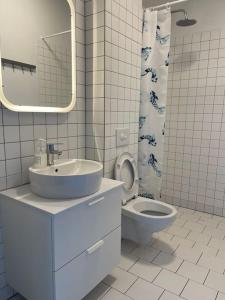 ReynivellirPeaceful Lakeside Cabin的白色的浴室设有水槽和卫生间。