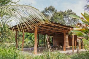 伯里塔卡La Ponderosa Reserve的花园内带屋顶的木制凉亭