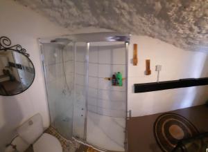 圣克鲁斯-德特内里费El gato genial的带淋浴和卫生间的浴室。