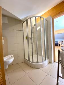 上陶恩Appartement Haus Faßwald的带淋浴和卫生间的浴室