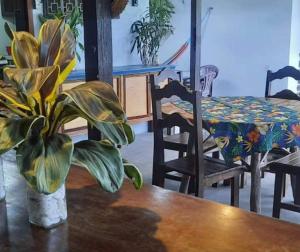 阿尔特杜尚Hostel Espaço Sairé的桌子上摆着盆栽的桌子