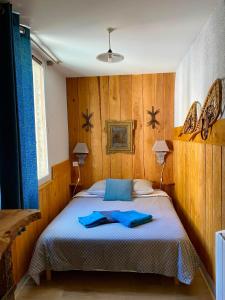 阿克斯莱泰尔姆Le Passage的一间卧室配有一张带蓝色毛巾的床
